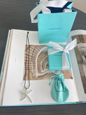 Tiffany & Co. Elsa Peretti Large Starfish in Sterling Silver Pendant 21” $1125